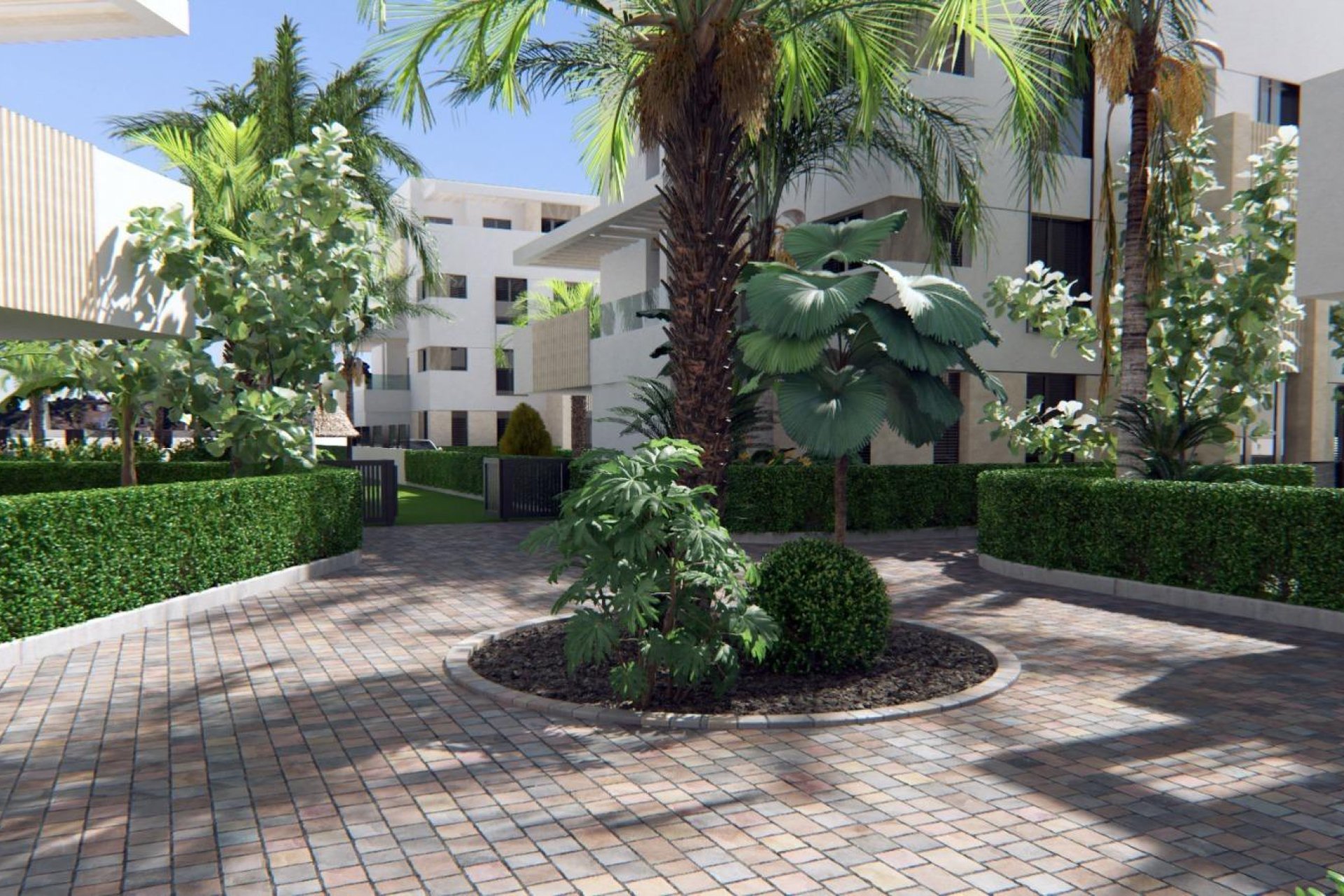 Rynek Pierwotny - Apartament - Torre Pacheco