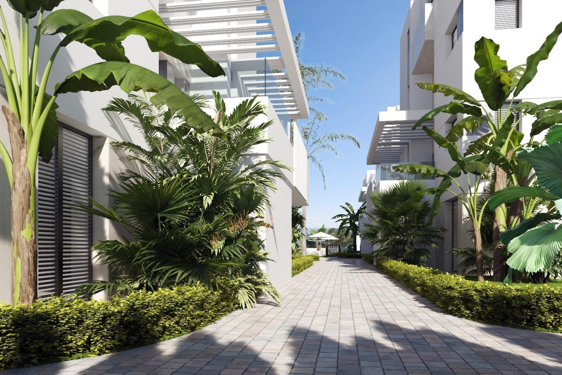 Rynek Pierwotny - Apartament - Torre Pacheco