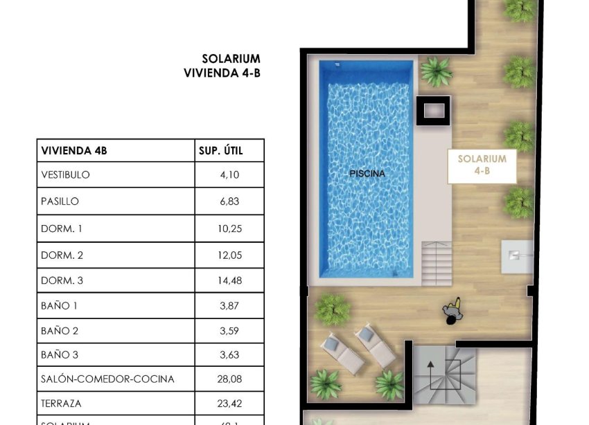 Rynek Pierwotny - Apartament - Torrevieja - Centro