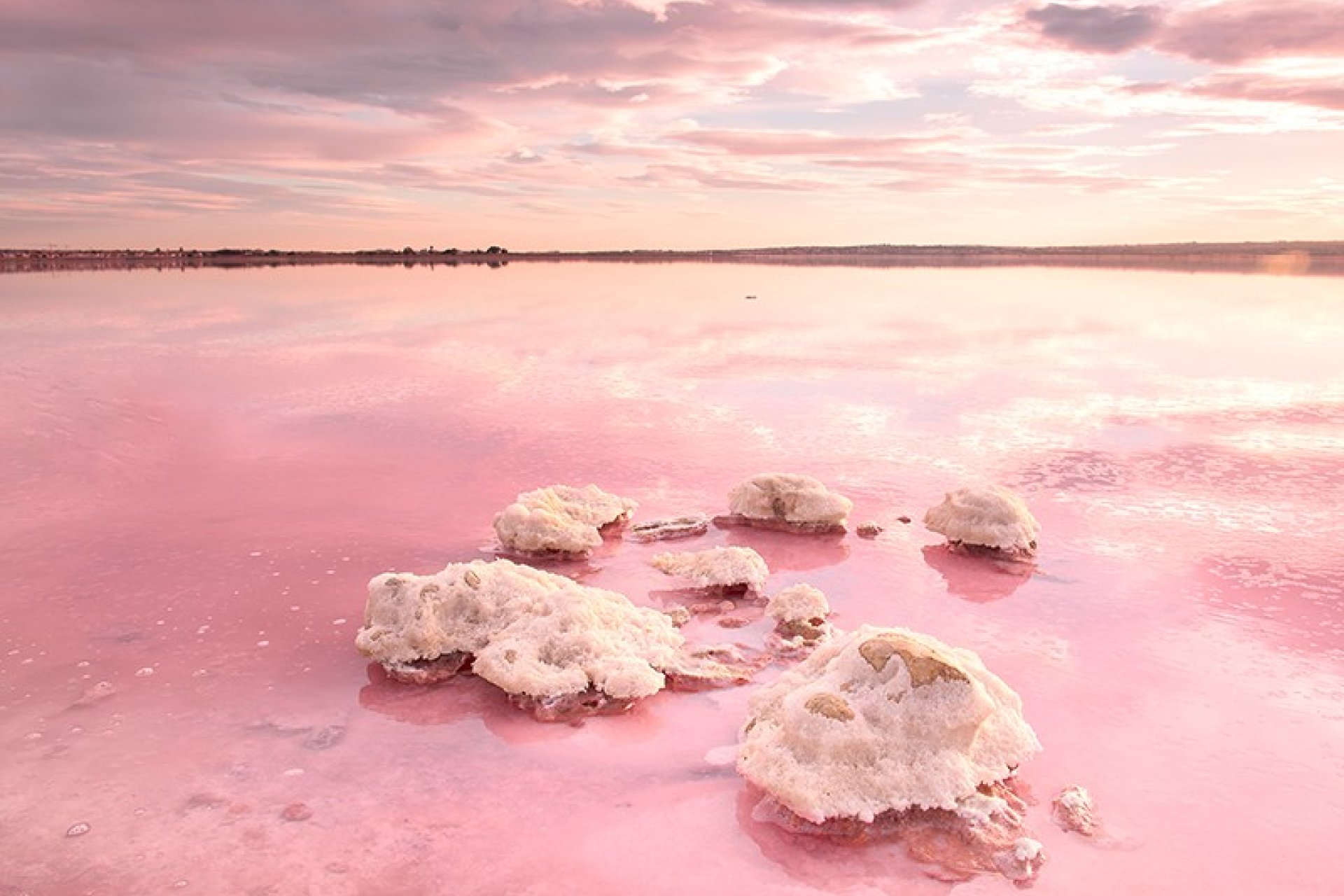 Rynek Pierwotny - Apartament - Torrevieja - La Hoya