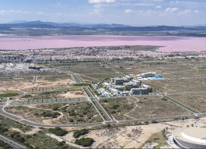 Rynek Pierwotny - Apartament - Torrevieja