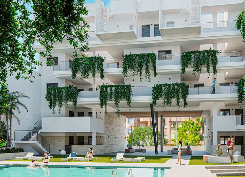 Rynek Pierwotny - Apartament - Torrevieja