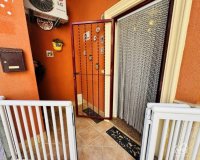 Rynek Pierwotny - Apartament - Torrevieja