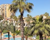 Rynek Pierwotny - Apartament - Torrevieja
