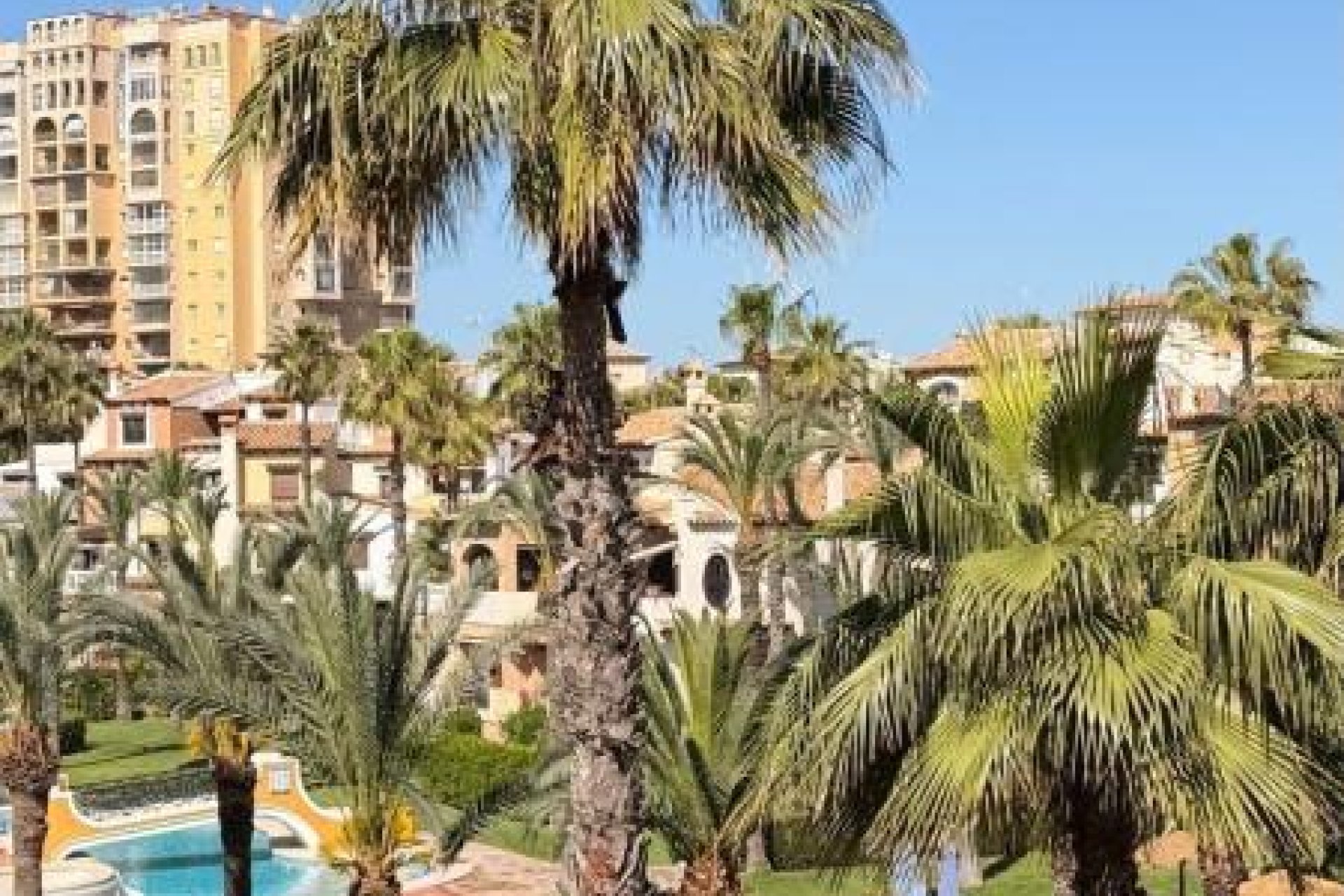 Rynek Pierwotny - Apartament - Torrevieja