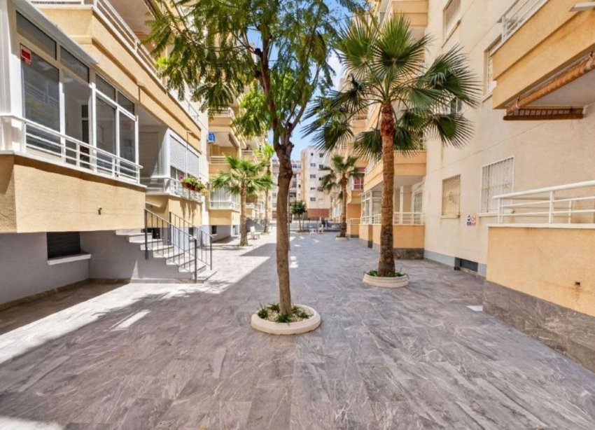 Rynek Pierwotny - Apartament - Torrevieja