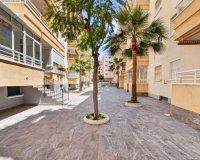 Rynek Pierwotny - Apartament - Torrevieja