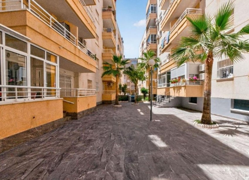 Rynek Pierwotny - Apartament - Torrevieja