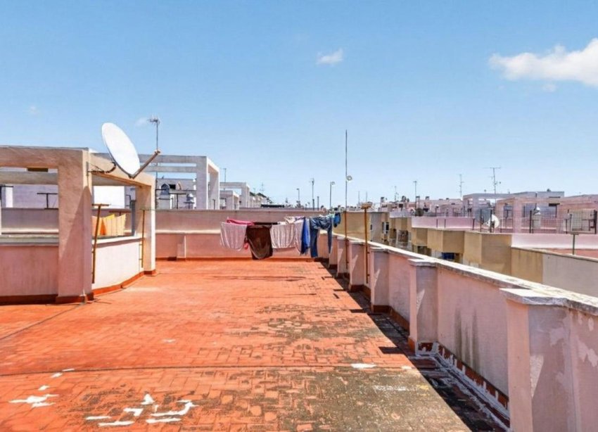 Rynek Pierwotny - Apartament - Torrevieja