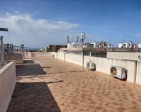 Rynek Pierwotny - Apartament - Torrevieja