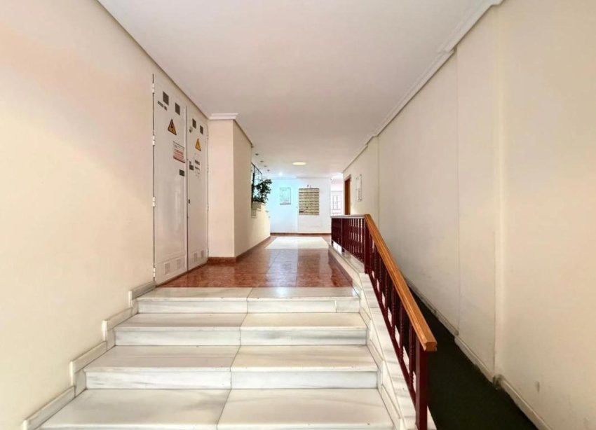 Rynek Pierwotny - Apartament - Torrevieja
