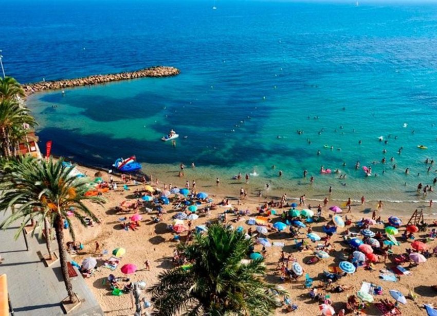 Rynek Pierwotny - Apartament - Torrevieja