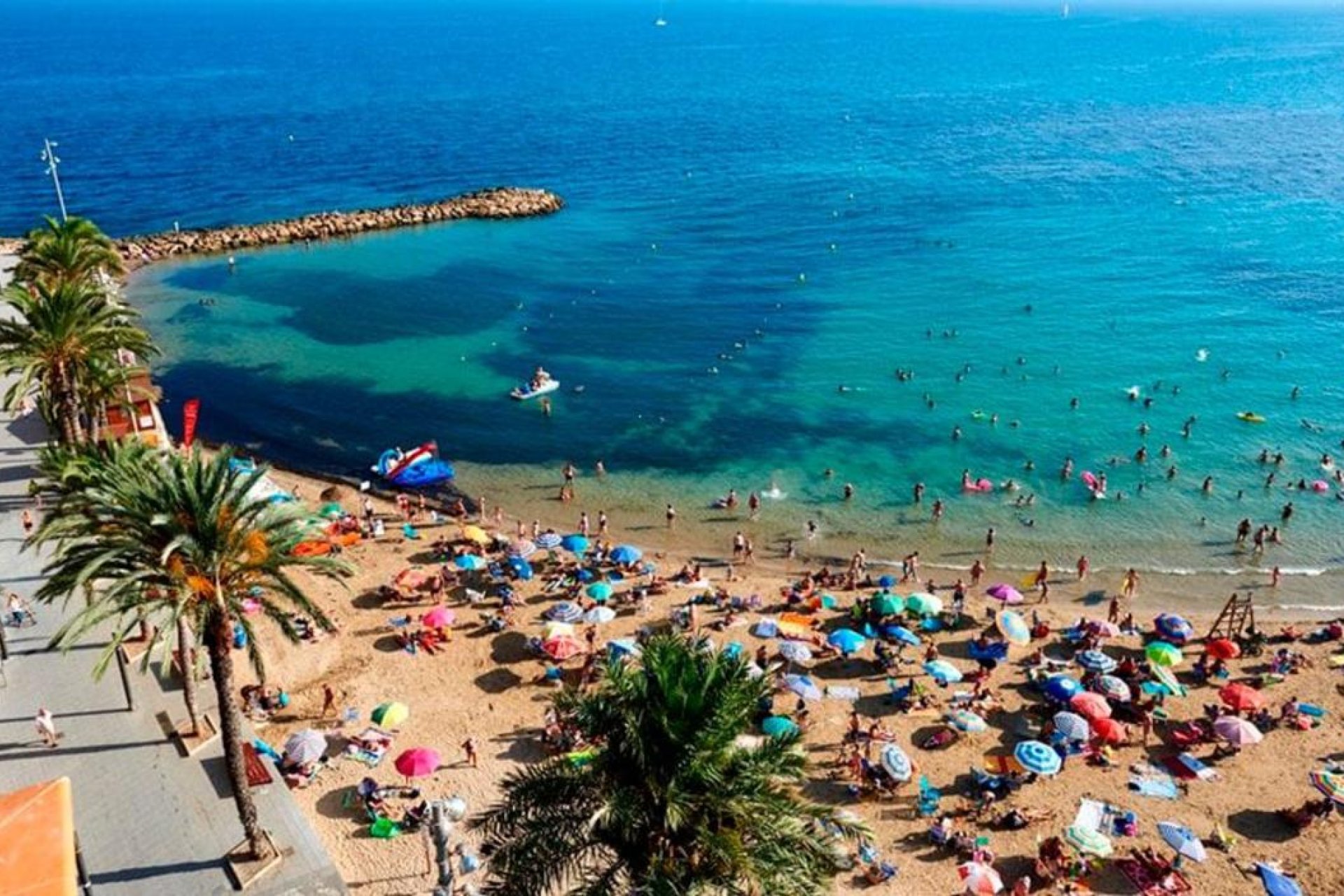 Rynek Pierwotny - Apartament - Torrevieja