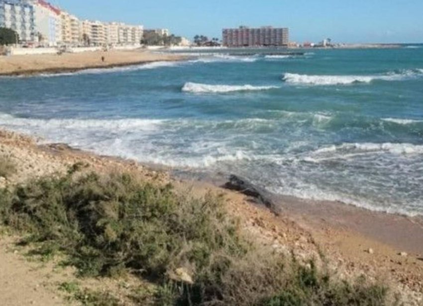 Rynek Pierwotny - Apartament - Torrevieja