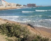 Rynek Pierwotny - Apartament - Torrevieja