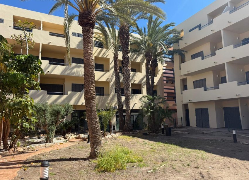 Rynek Pierwotny - Apartament - Vera