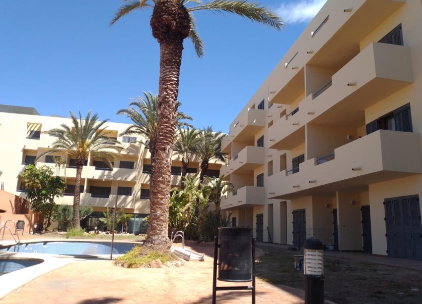 Rynek Pierwotny - Apartament - Vera