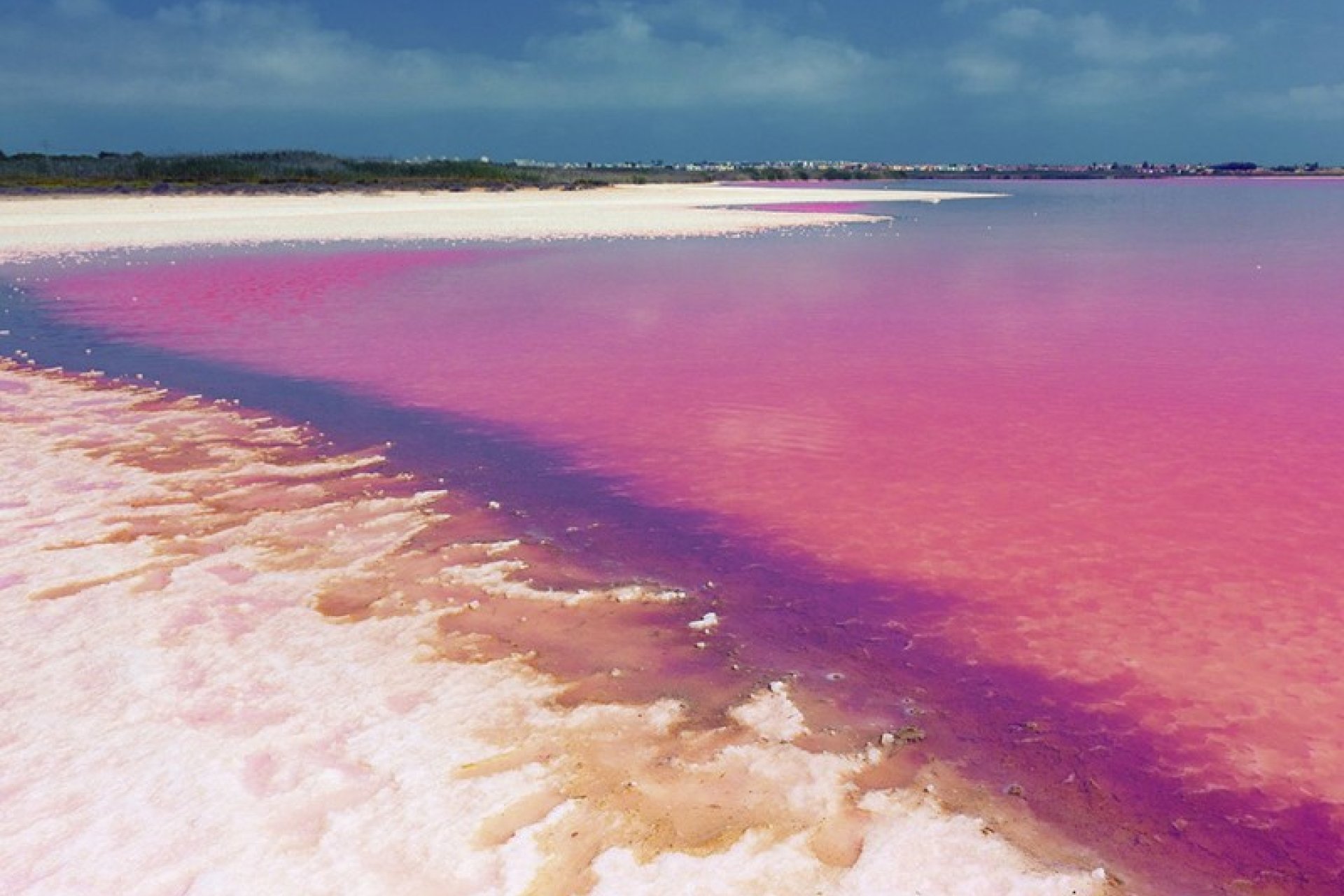 Rynek Pierwotny - Bungalow / Domek parterowy - Los Balcones, Torrevieja - Los Balcones