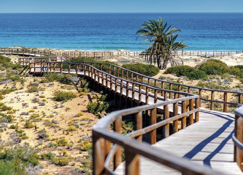 Rynek Pierwotny - Bungalow / Domek parterowy - Monforte del Cid - Alenda Golf