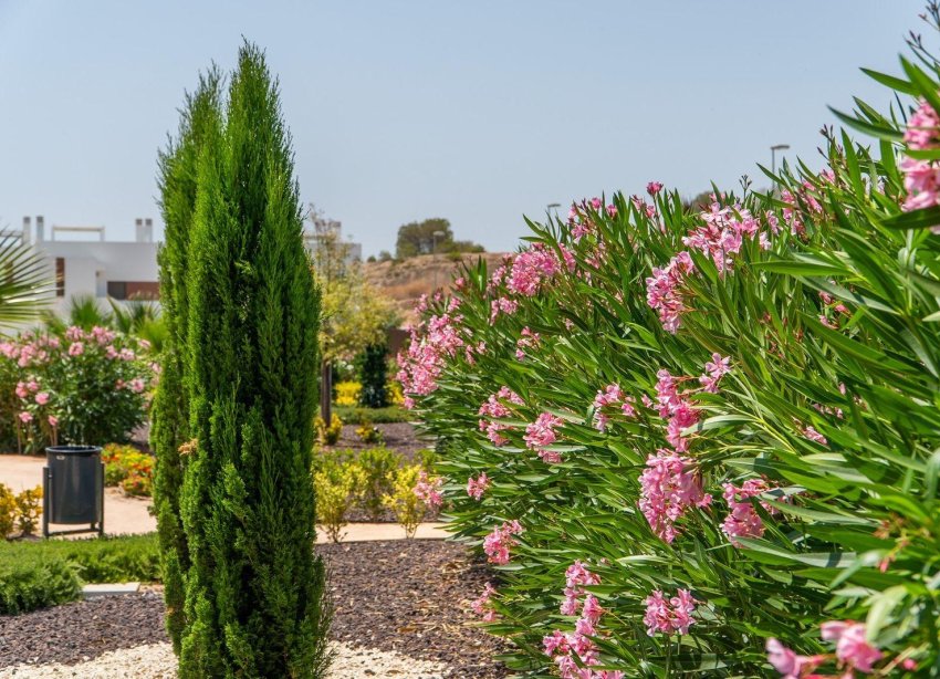 Rynek Pierwotny - Bungalow / Domek parterowy - Orihuela - Vistabella Golf