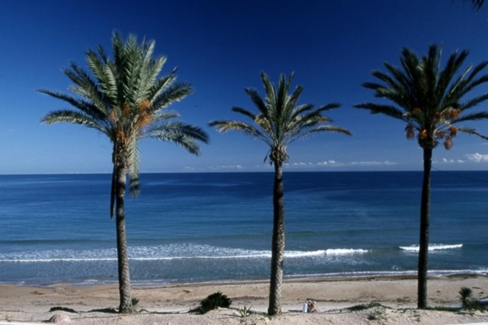 Rynek Pierwotny - Bungalow / Domek parterowy - Pilar de la Horadada - Parque Ramon eugenio Escudero