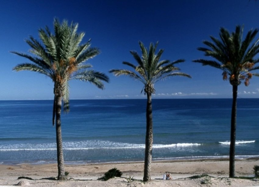 Rynek Pierwotny - Bungalow / Domek parterowy - Pilar de la Horadada - Parque Ramon eugenio Escudero