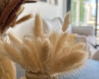 Rynek Pierwotny - Bungalow / Domek parterowy - San Fulgencio - Pueblo