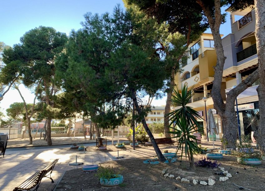 Rynek Pierwotny - Bungalow / Domek parterowy - San Javier