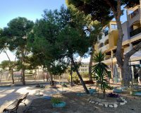 Rynek Pierwotny - Bungalow / Domek parterowy - San Javier