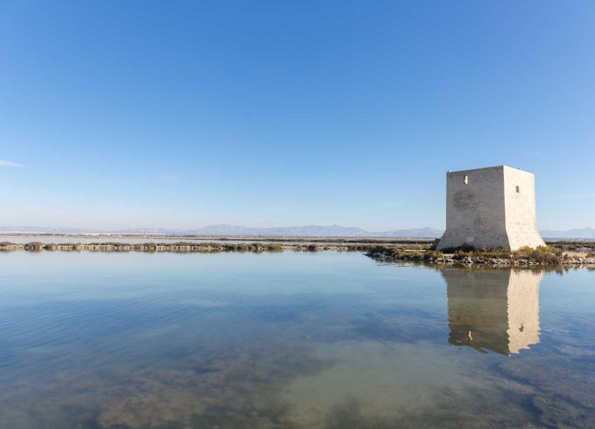 Rynek Pierwotny - Bungalow / Domek parterowy - Santa Pola - Estacion de autobuses