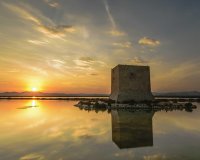 Rynek Pierwotny - Bungalow / Domek parterowy - Santa Pola - Estacion de autobuses