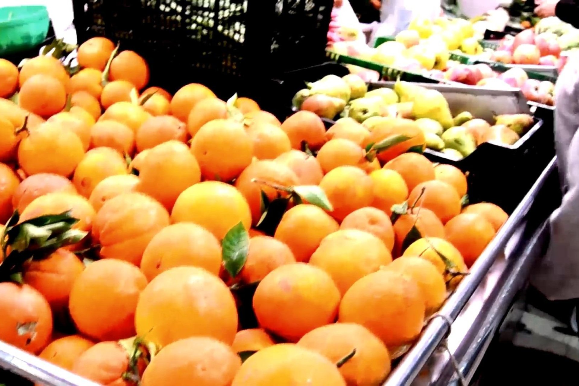 Rynek Pierwotny - Bungalow / Domek parterowy - Torrevieja - Centro