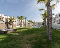 Rynek Pierwotny - Bungalow / Domek parterowy - Torrevieja - Los Balcones