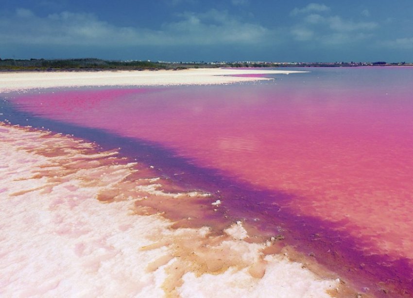 Rynek Pierwotny - Bungalow / Domek parterowy - Torrevieja - Los Balcones