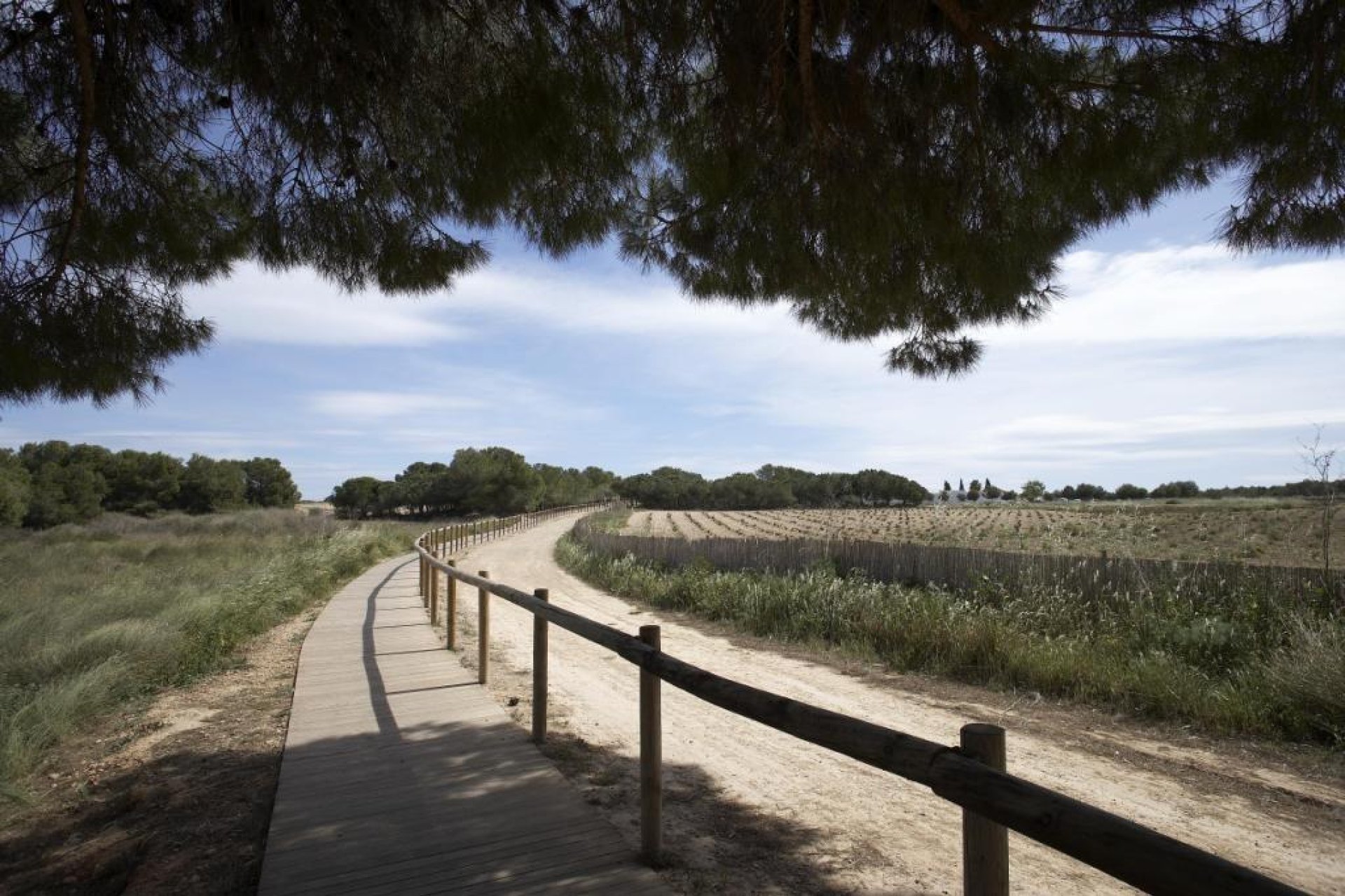 Rynek Pierwotny - Bungalow - Torrevieja - Torrejón