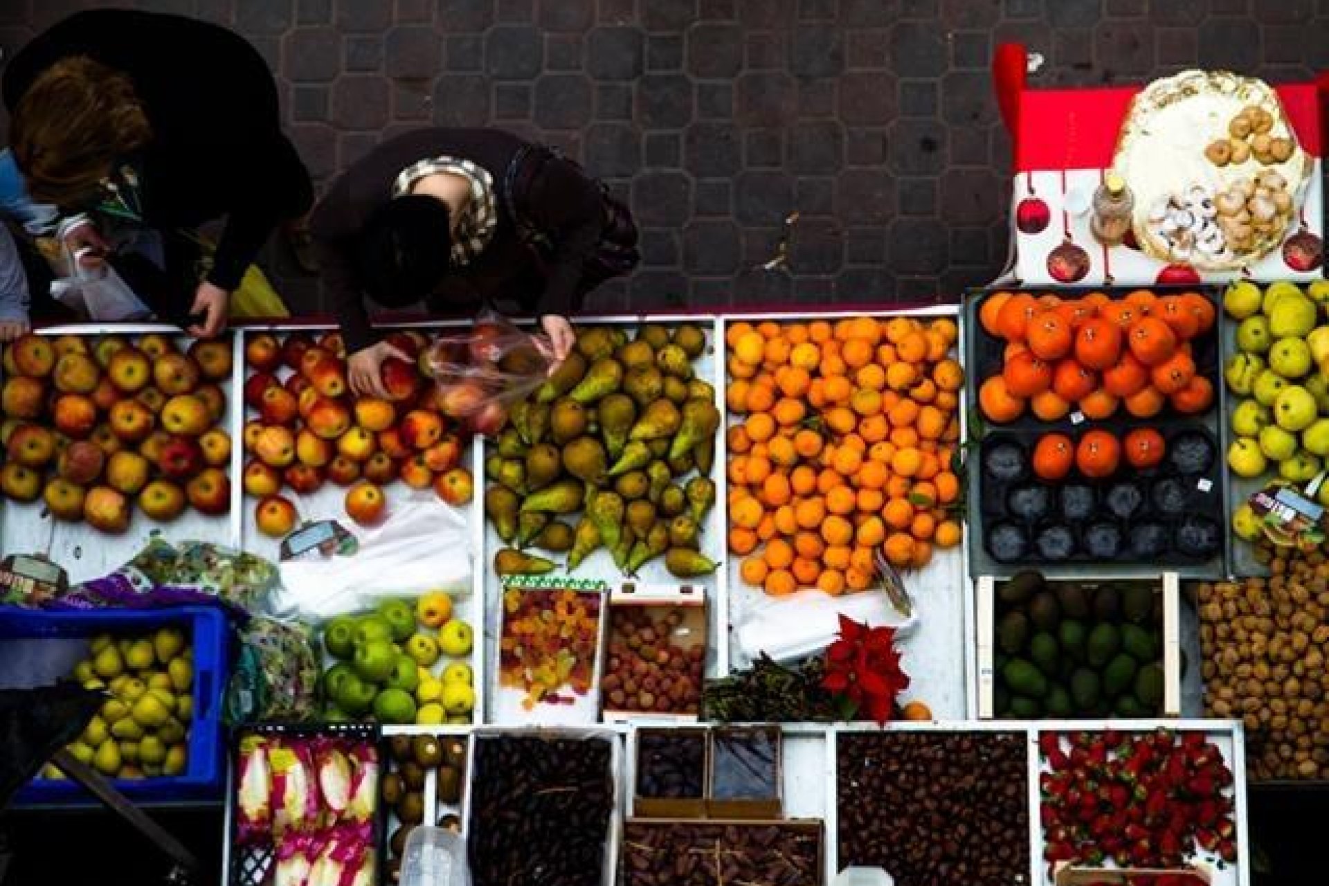 Rynek Pierwotny - Dom szeregowy - Dolores - Sector 2