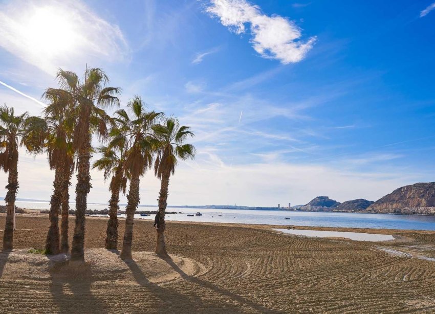 Rynek Pierwotny - Dom szeregowy - Els Poblets