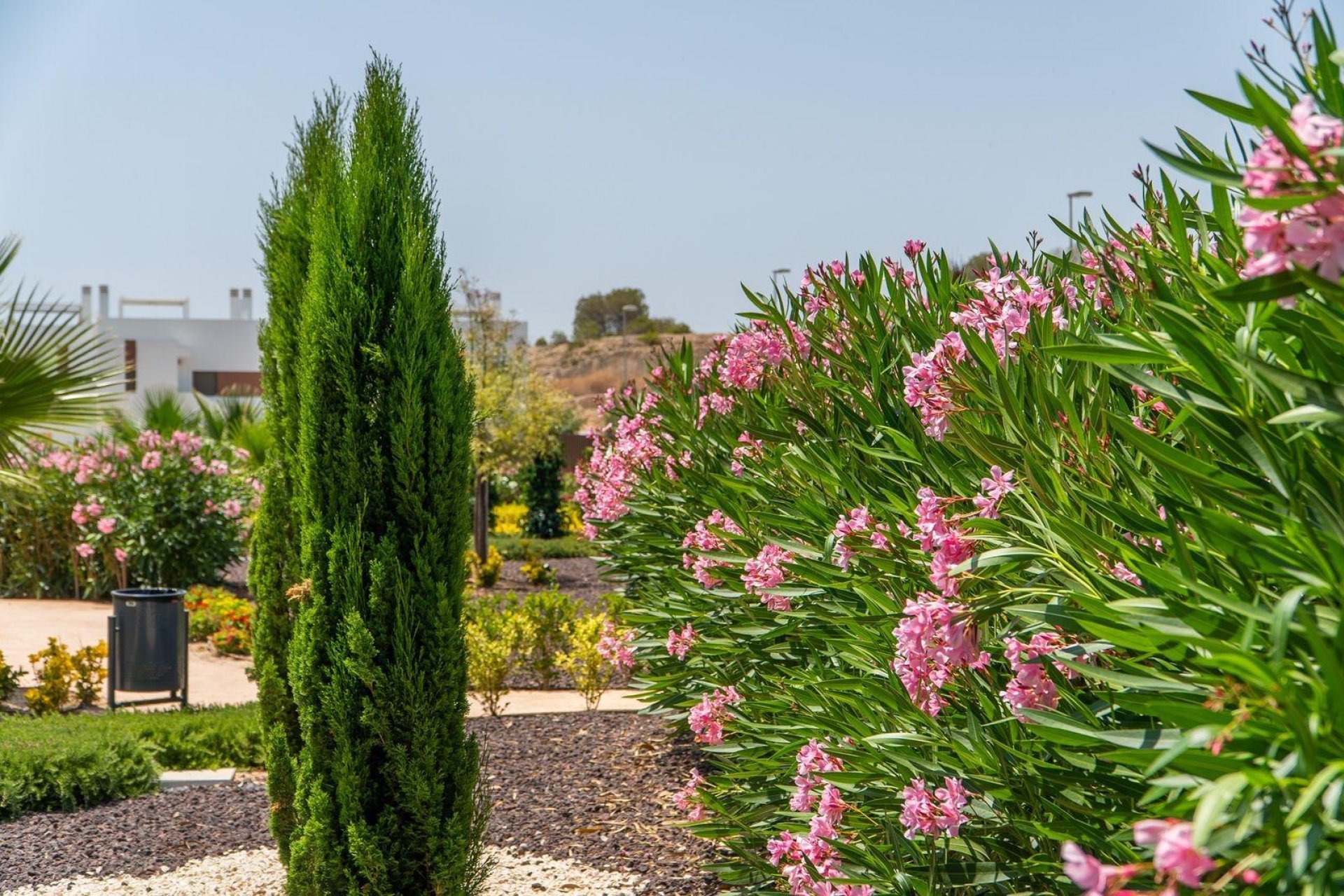 Rynek Pierwotny - Dom szeregowy - Orihuela - Vistabella Golf