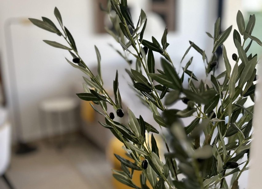 Rynek Pierwotny - Dom szeregowy - San Fulgencio - Pueblo