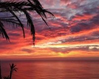 Rynek Pierwotny - Dom szeregowy - Torrevieja - Altos del Sol