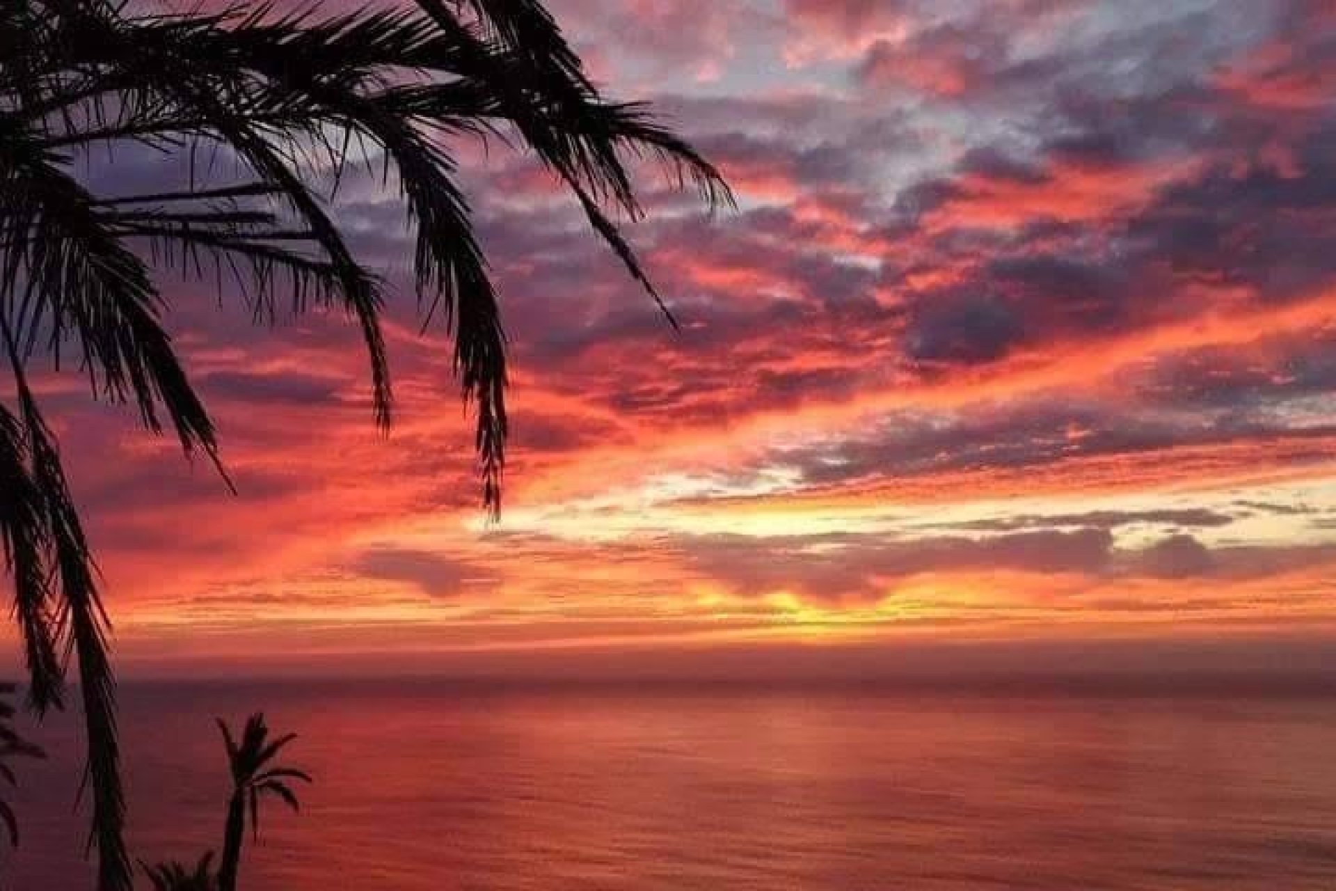 Rynek Pierwotny - Dom szeregowy - Torrevieja - Altos del Sol