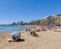 Rynek Pierwotny - Dupleksy - Torrevieja