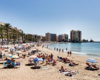 Rynek Pierwotny - Dupleksy - Torrevieja