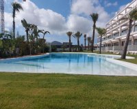Rynek Pierwotny - Penthouse'y - Cartagena