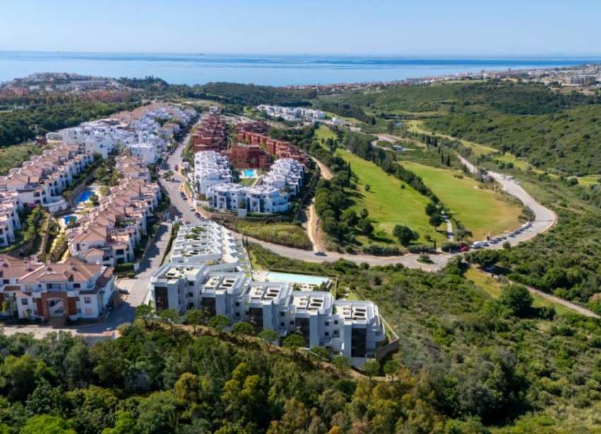 Rynek Pierwotny - Penthouse'y - Casares