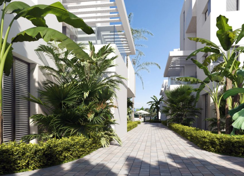 Rynek Pierwotny - Penthouse'y - Torre Pacheco - Torre-Pacheco