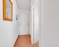 Rynek Pierwotny - Penthouse'y - Torrevieja