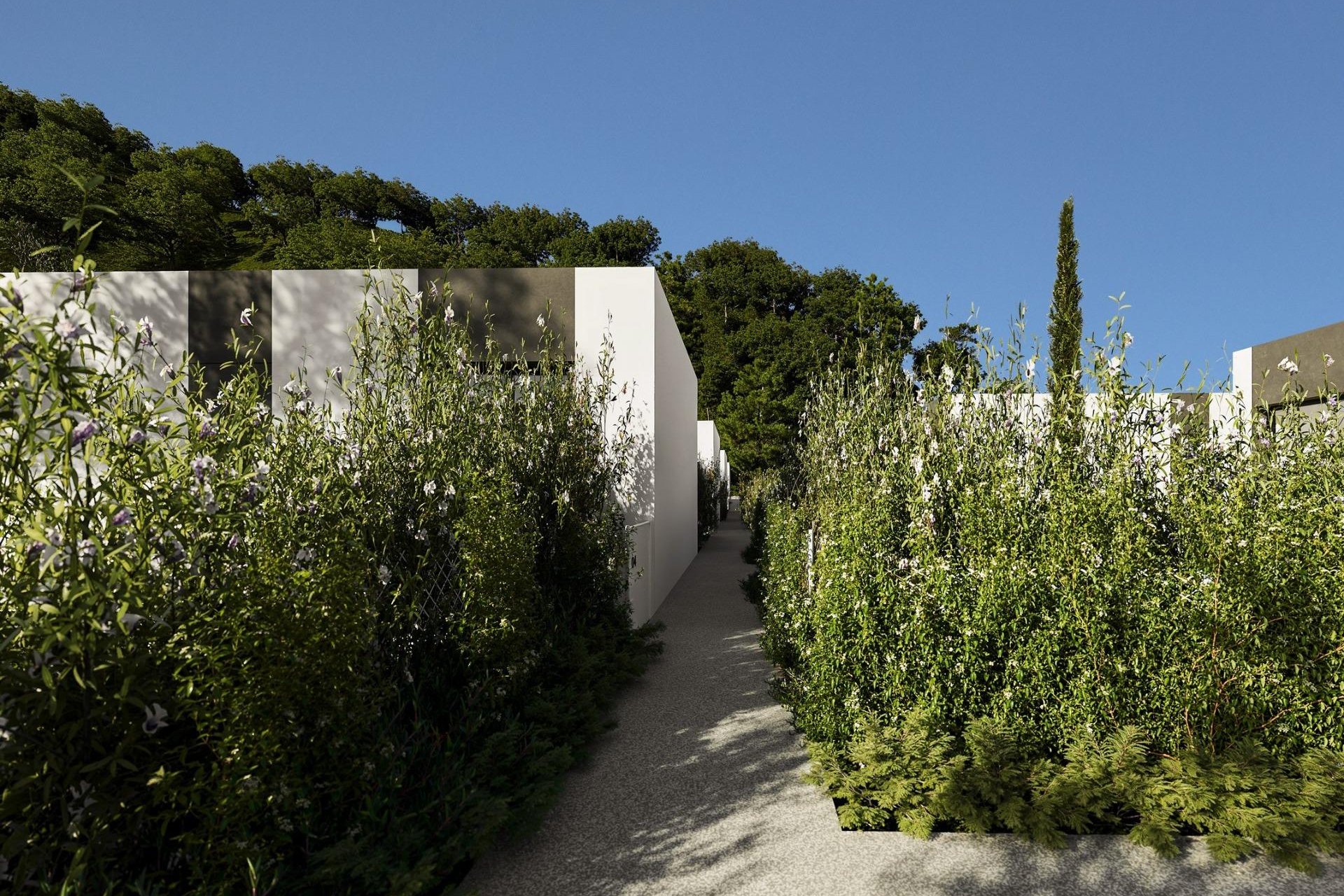 Rynek Pierwotny - Willa - Alfas del Pí - Barranc Fondo