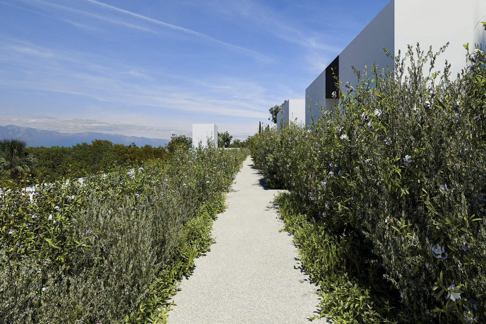 Rynek Pierwotny - Willa - Alfas del Pí - Barranc Fondo