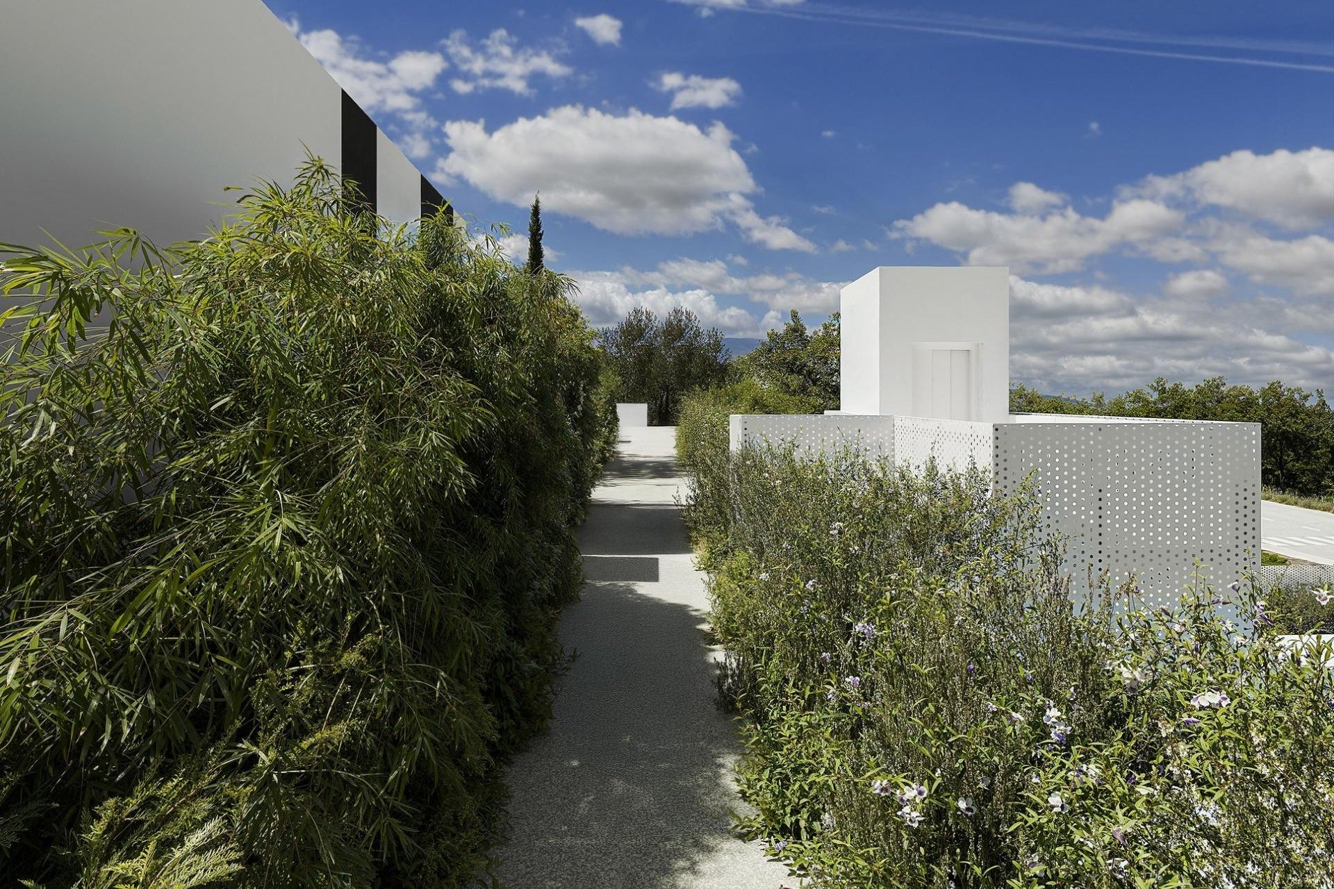 Rynek Pierwotny - Willa - Alfas del Pí - Barranc Fondo
